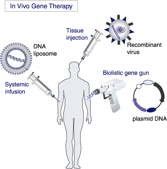 TYPES OF GENE THERAPY